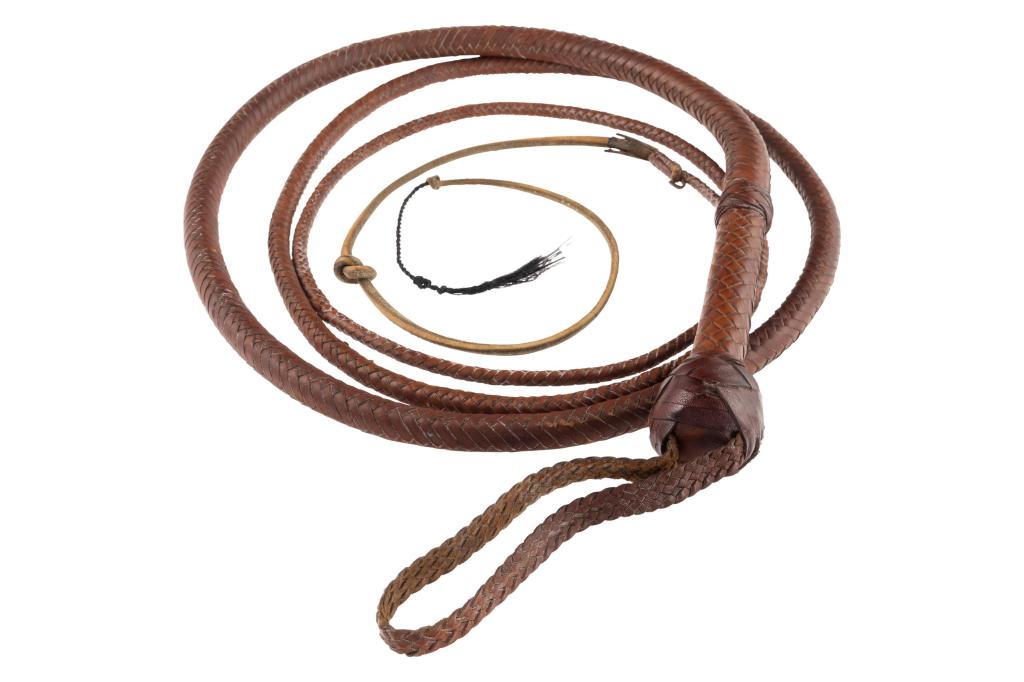 Látigo de Indiana Jones llega a 525.000 y trineo de “Ciudadano Kane” roza los 15 millones en subasta – Chicago Tribune