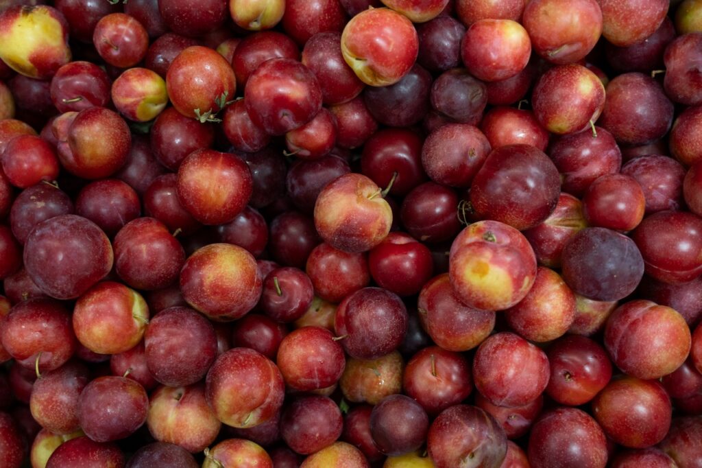 Finding fresh food remains a challenge for those living in this N.J. city