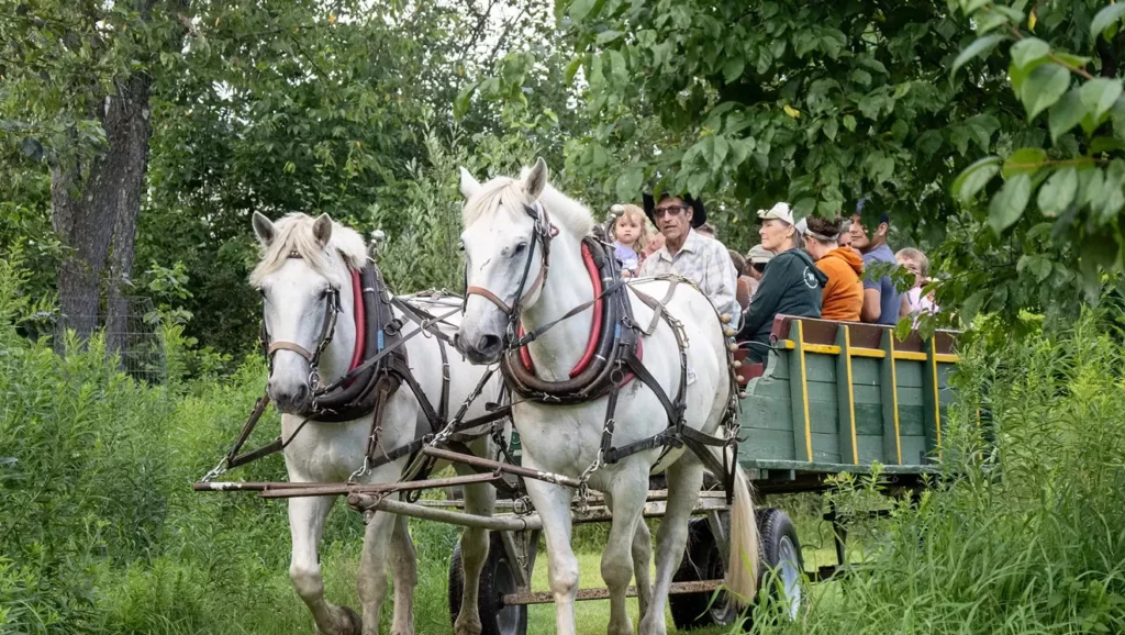 Seven Can't-Miss Vermont Events This Week: July 30-August 6, 2025