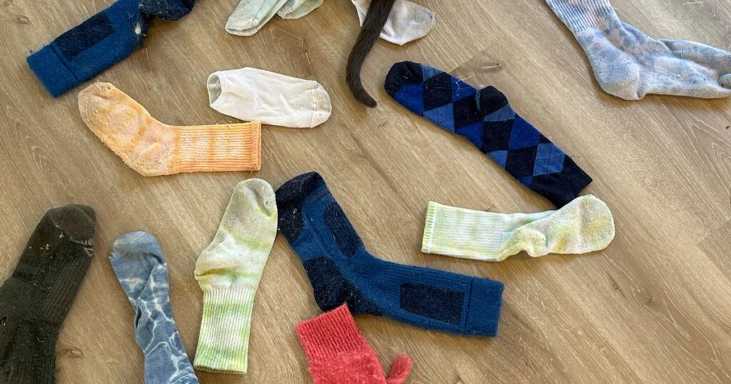 A cat named Leonardo da Pinchy doesn’t want your affection. He wants to steal your underwear