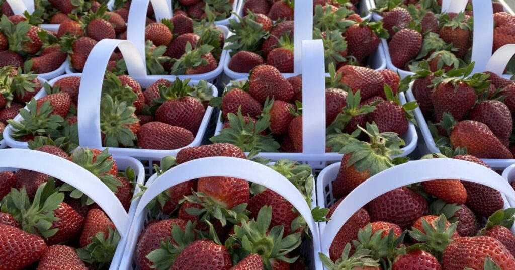 Shop local with these summer farmers’ markets in + around Birmingham
