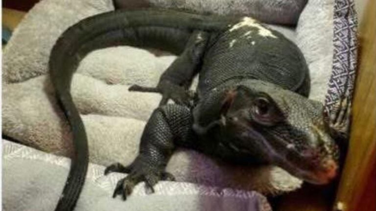 Webster water monitor crosses state lines into Conn.