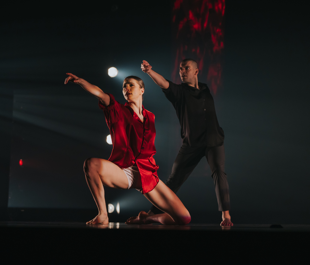 Acansa Arts Festival of the South Announces 2025 Lineup