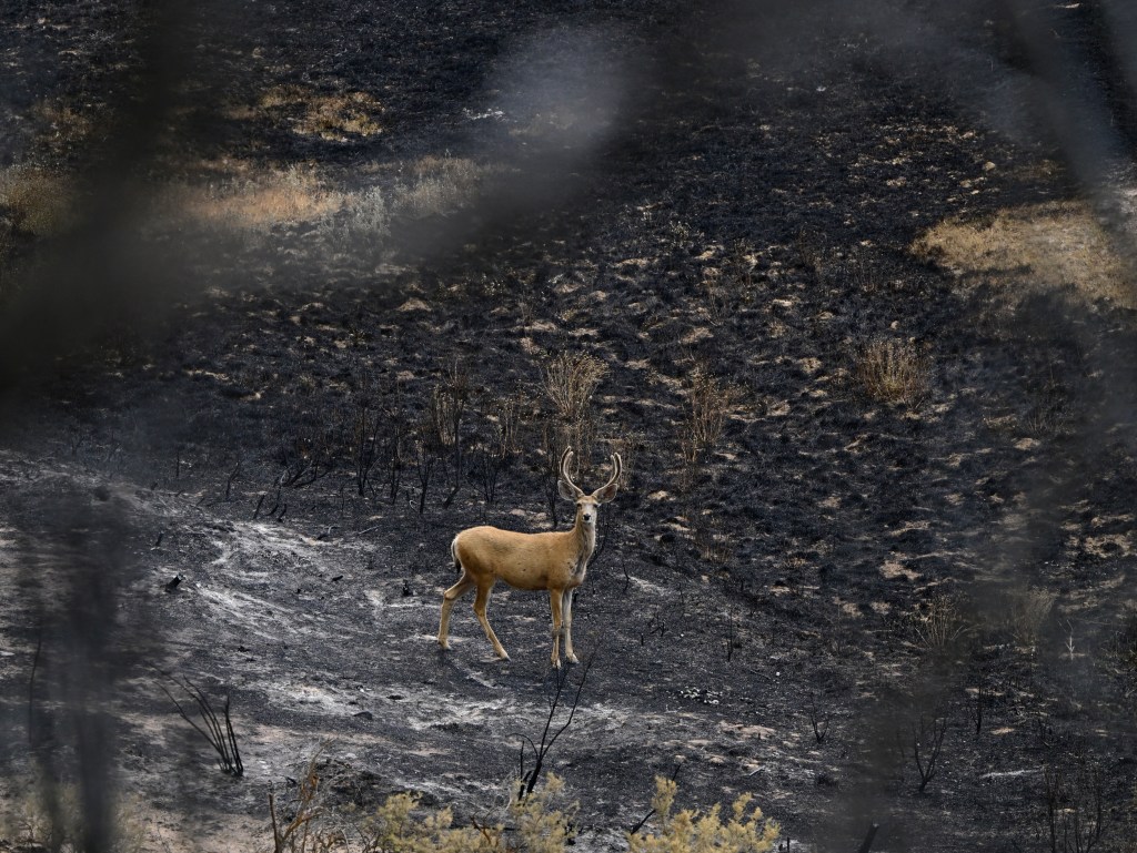 Fire near Garfield County expected to worsen