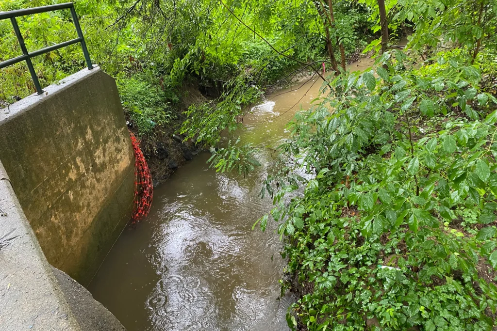 A Creek That Smells Like Death