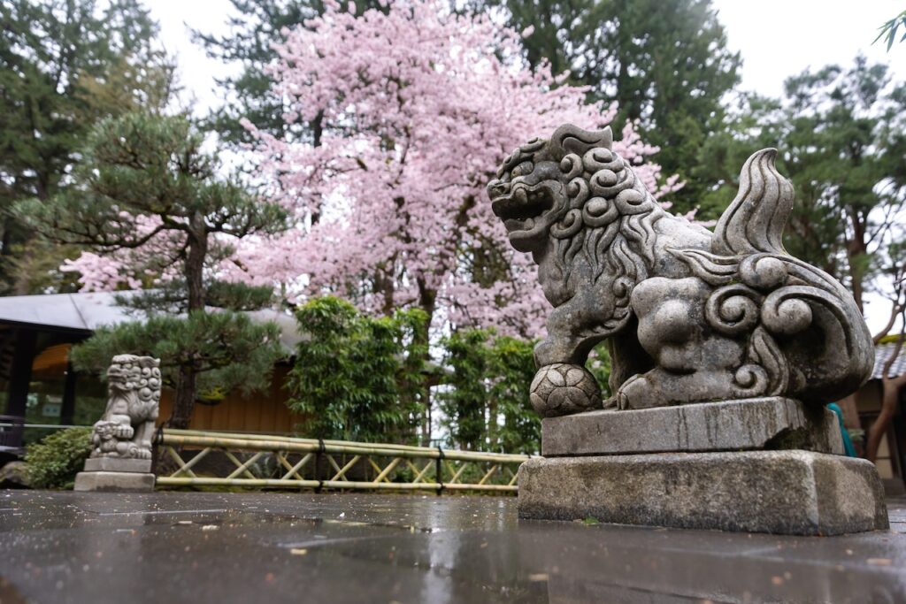 Portland Japanese Garden hosts summer festival this weekend