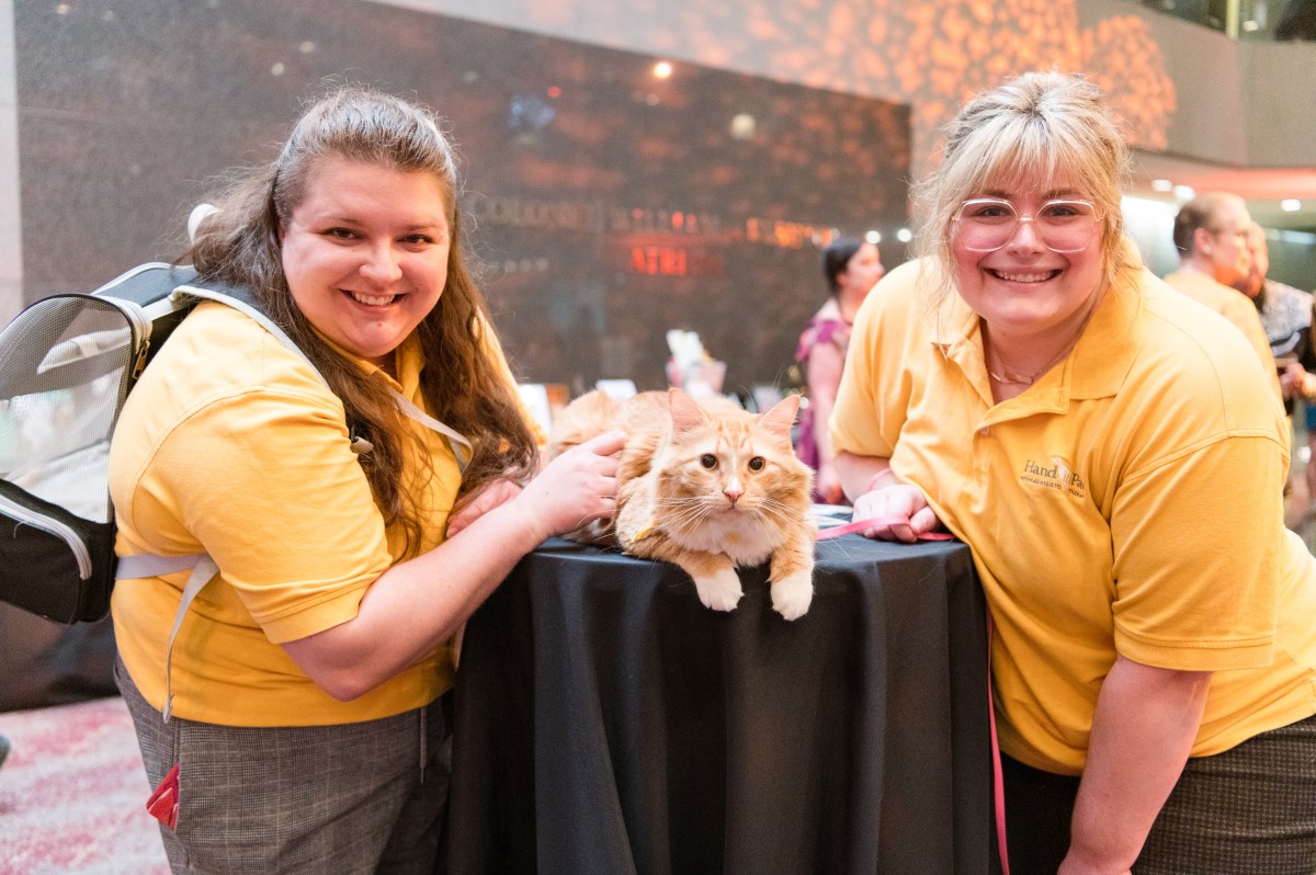 18 fun weekend events including Sidewalk Film Festival—August 22-24 8 (Hand in Paw)