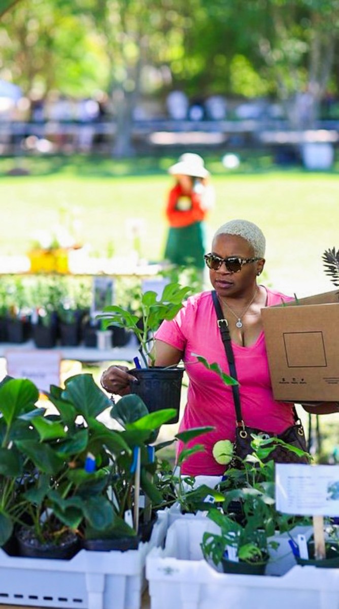35 September events in Birmingham—"Wicked," a fall plant sale + more 5 Friends of Birmingham Botanical Gardens Fall Plant Sale
