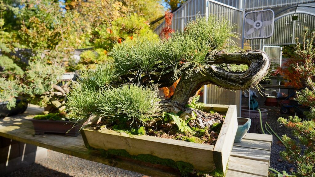 Add these gardening events to your late summer calendar