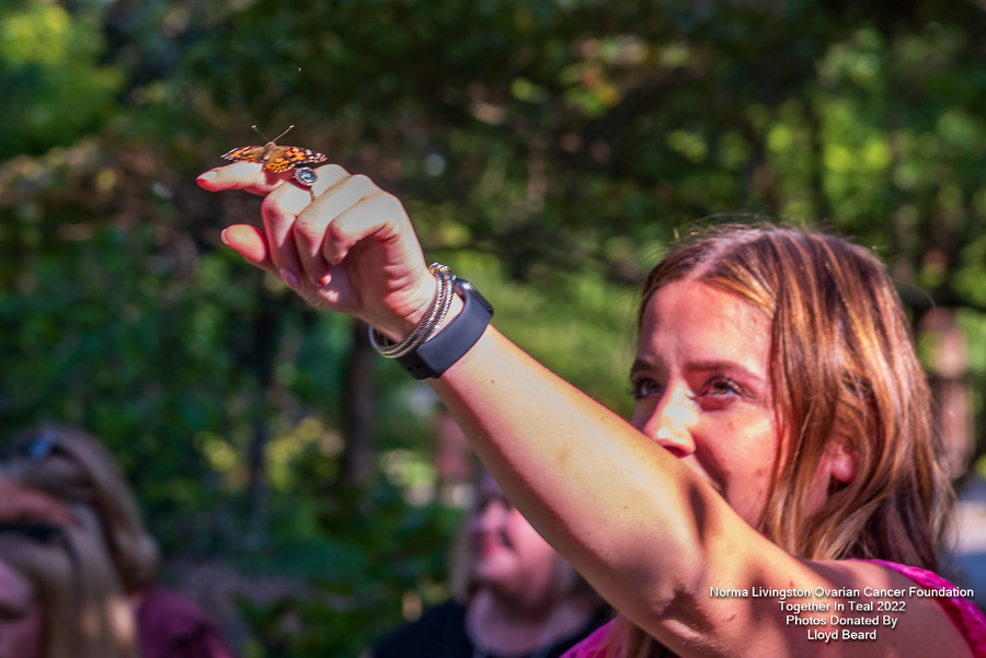 genericEntity 321081 172565 21308eb7 3473 42af 81eb e6424303ea86 Watch hundreds of butterflies take flight at Aldridge Gardens for a good cause