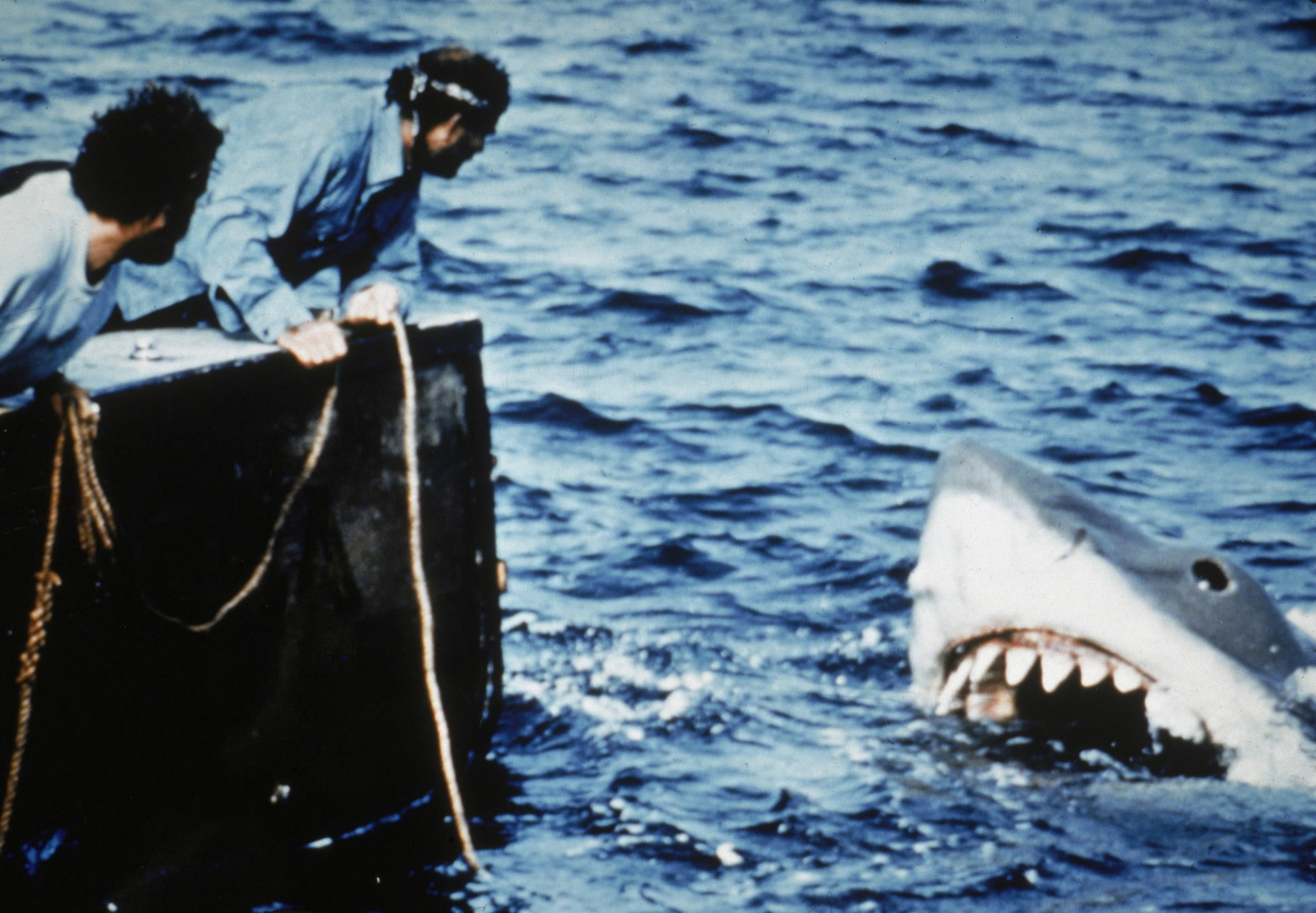 Actors Richard Dreyfuss (L) and Robert Shaw lean off the back of their boat, holding ropes as they watch the giant Great White shark emerge from the water in a still from the film, 'Jaws,' directed by Steven Spielberg. (Photo by Universal Pictures/Courtesy of Getty Images) Library Tag Magazine 07252010