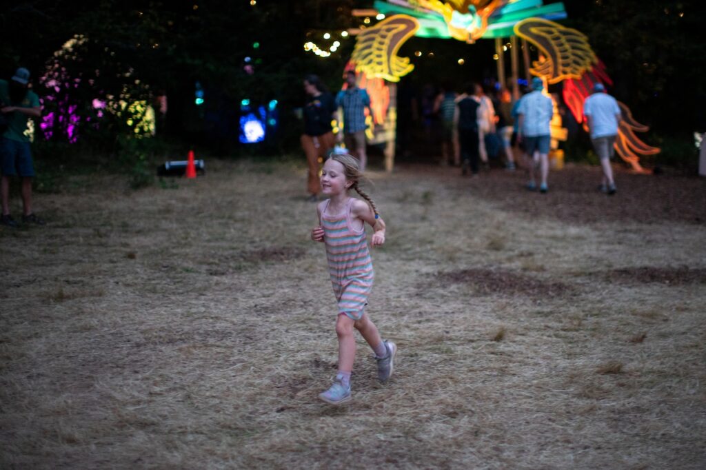 Here’s what we’ll lose if summer music festivals disappear