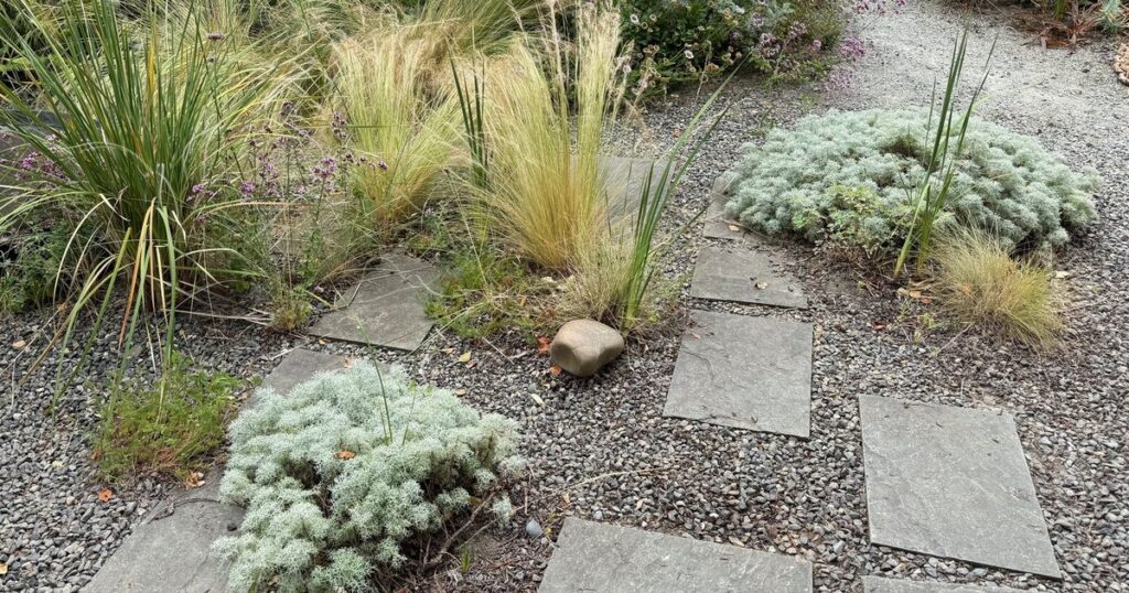 How a little rock can have big impact in the garden