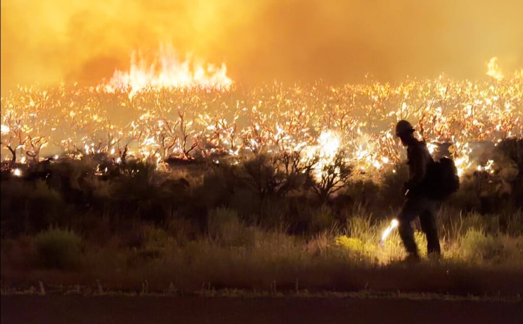 Utah's Monroe Canyon Fire damages power poles and structures as it grows to over 55,000 acres