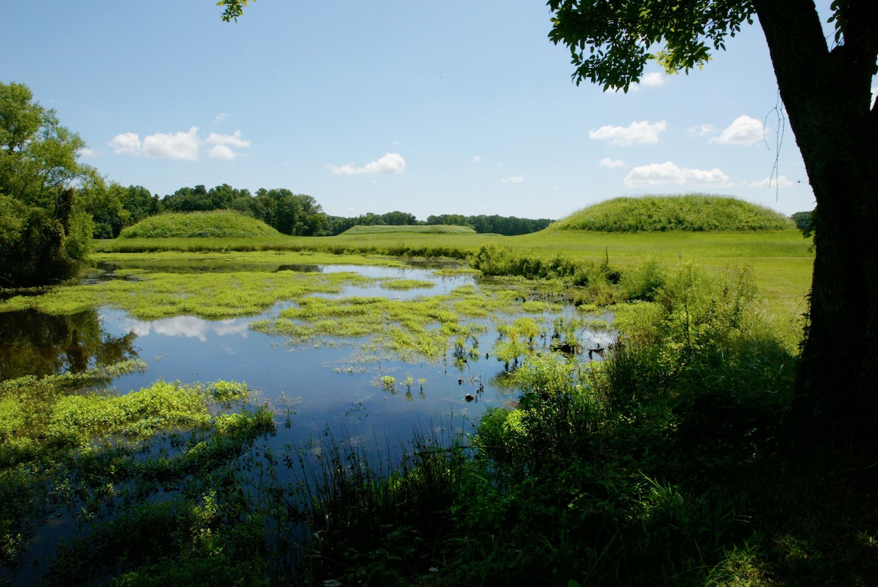 Moundville Archaeological Park