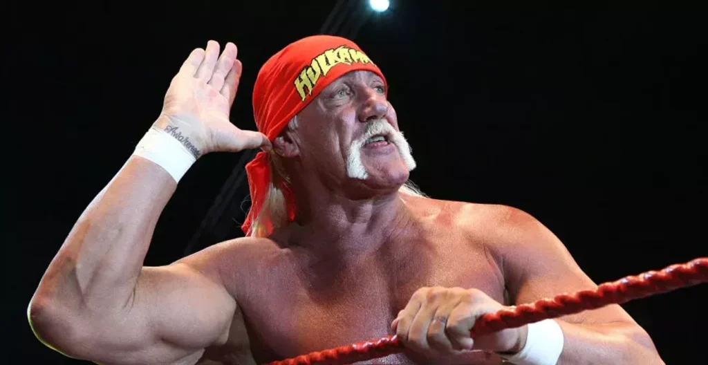 How Hulk Hogan's music career fits in the 'outsider art' genre