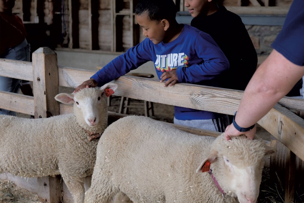 Students from JFK Elementary School in Winooski during a class trip to the farm
