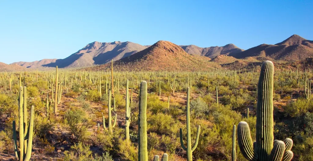 16 free Arizona parks, monuments to explore on National Park Day