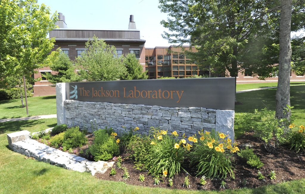 H1-B visa’s $100,000 price hike leaves Maine employers worried about impact