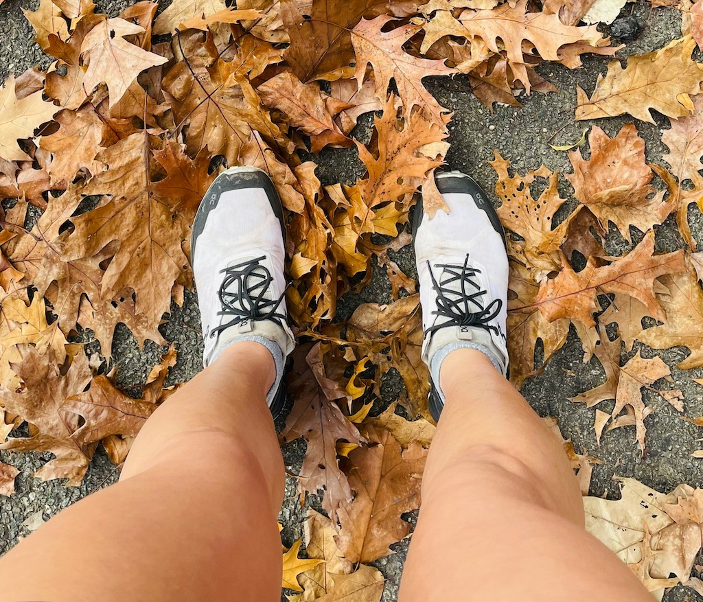 Fall Runs to Keep on Your Radar
