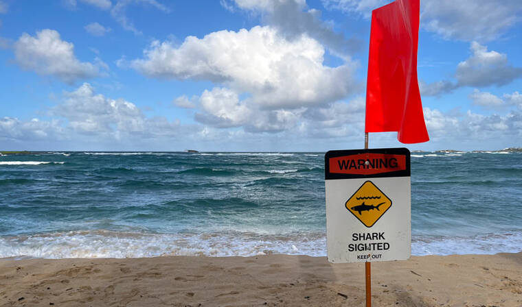 Shark warning signs posted at Pokai Bay