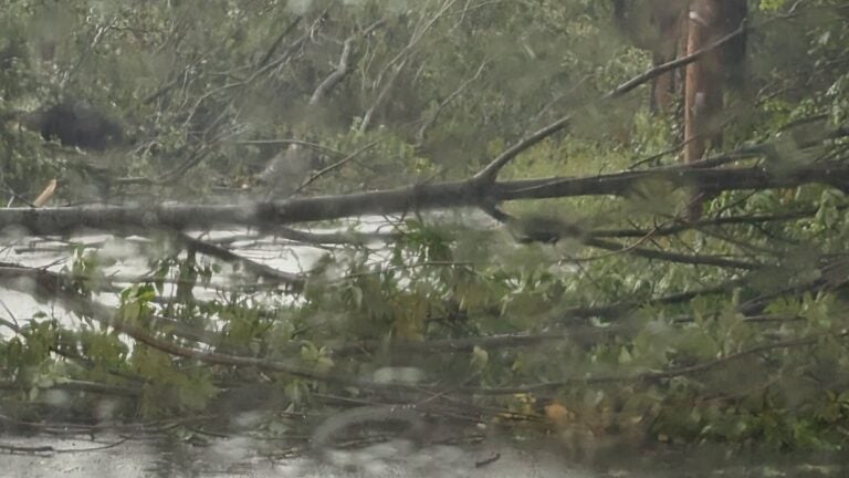 Tornado confirmed in Mass. town during Saturday's powerful storm