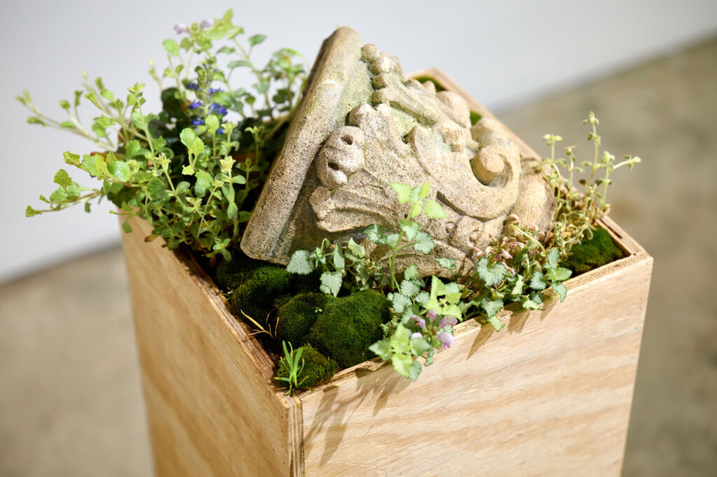 A Multi-Media Exhibit Reflecting on Place and Memory Uses Artifacts from Durham’s Past