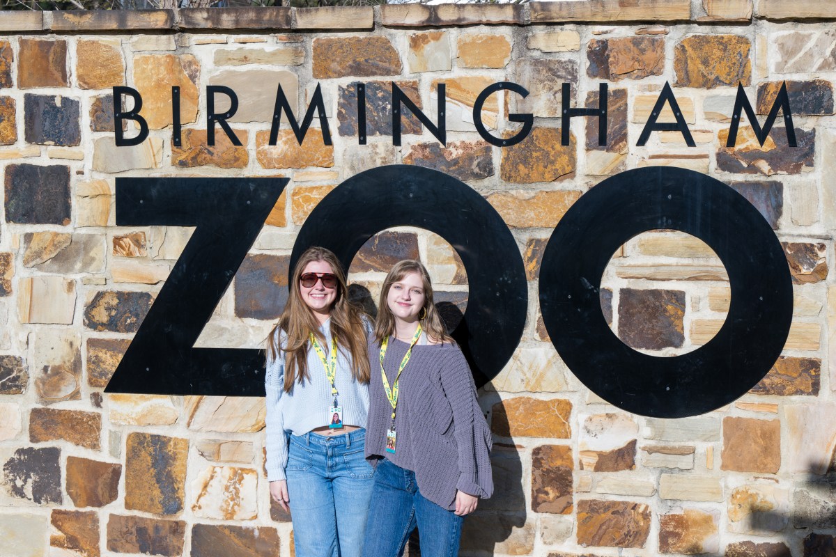 20 fall weekend events like Furnace Fest + The Annual Greek Food Festival—October 3-5 8 CougarCrossing 20250318 160356 20 fall weekend events like Furnace Fest + The Annual Greek Food Festival—October 3-5