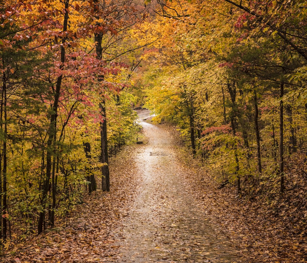 Where to Catch the Best Fall Foliage in Arkansas