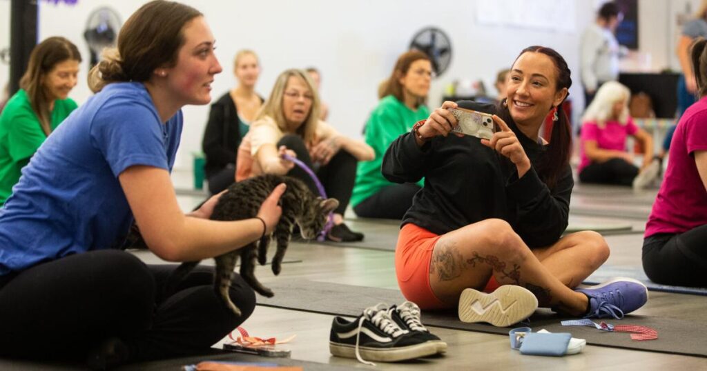 Following 'Cats on Mats,' EveryBODY Fitness to host its first 'POUND for Puppies'