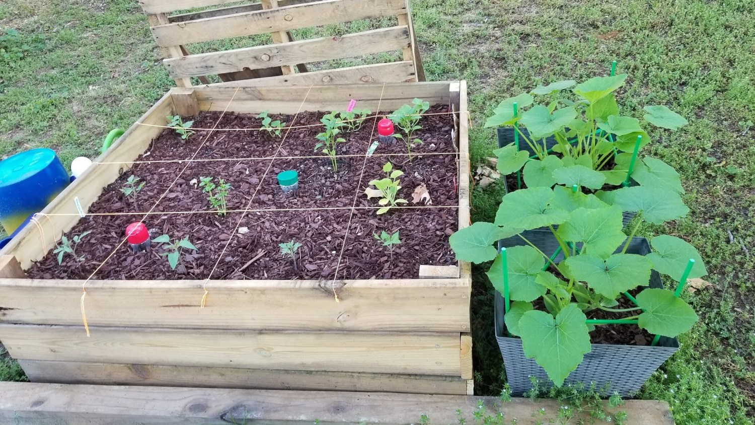 Got junk? Drop off your household clutter at these 2 spots in Birmingham 4 garden starts