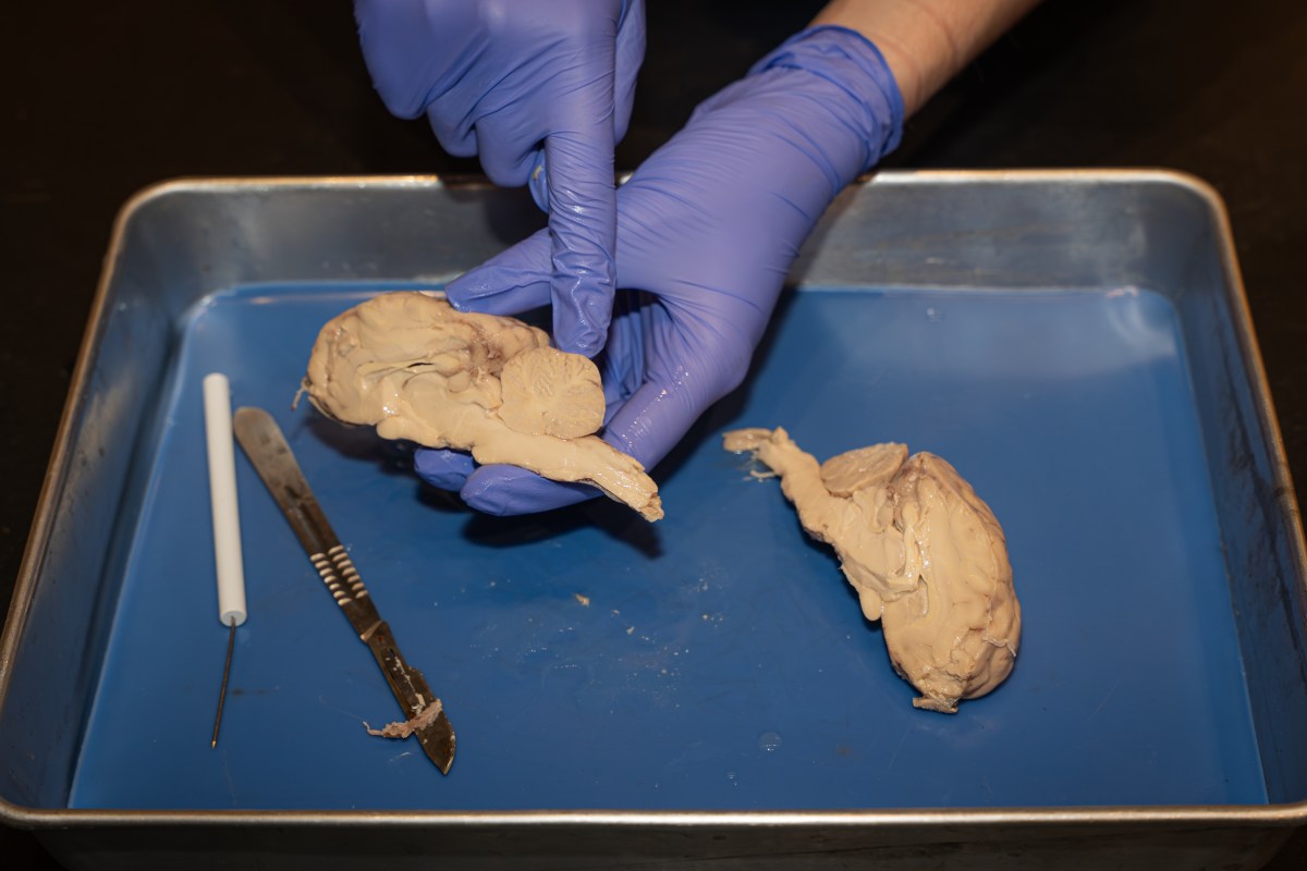 Birmingham’s best spooky science experiments for kids + adults who love a good party trick 4 Spooky Science at McWane