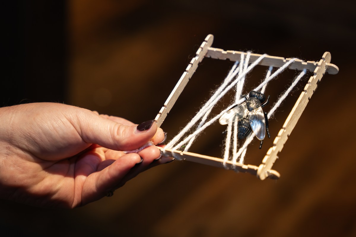 Birmingham’s best spooky science experiments for kids + adults who love a good party trick 6 Spooky Science at McWane