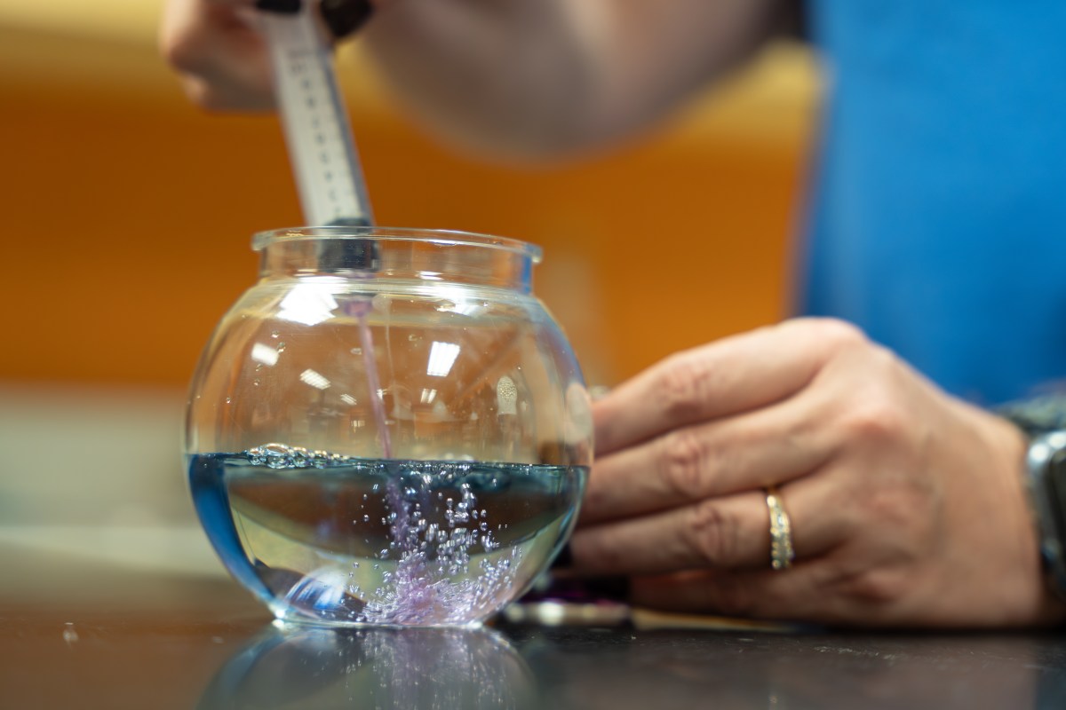 Birmingham’s best spooky science experiments for kids + adults who love a good party trick 10 Spooky Science at McWane