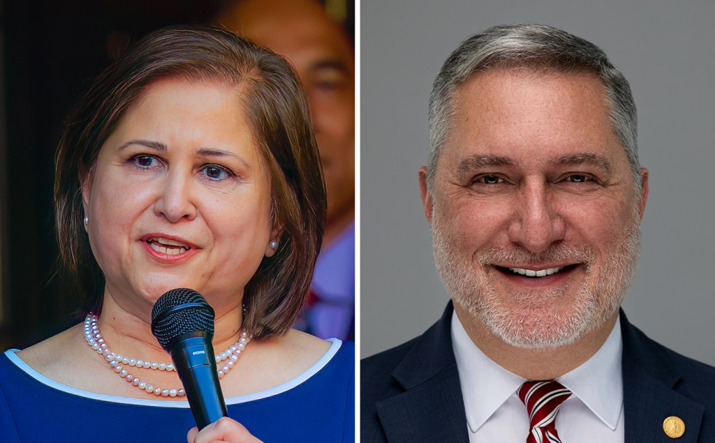 Candidates for lieutenant governor lay out different visions for education in Virginia