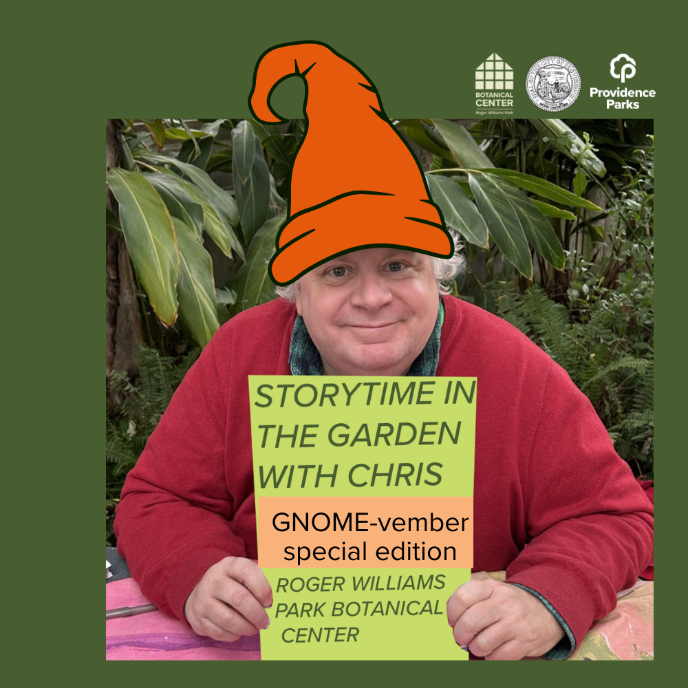 Storytime with Chris