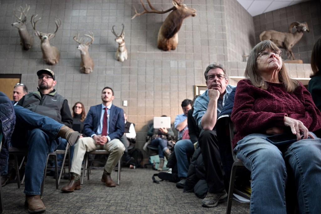 Where will Colorado get wolves after Trump official rules out Canada?