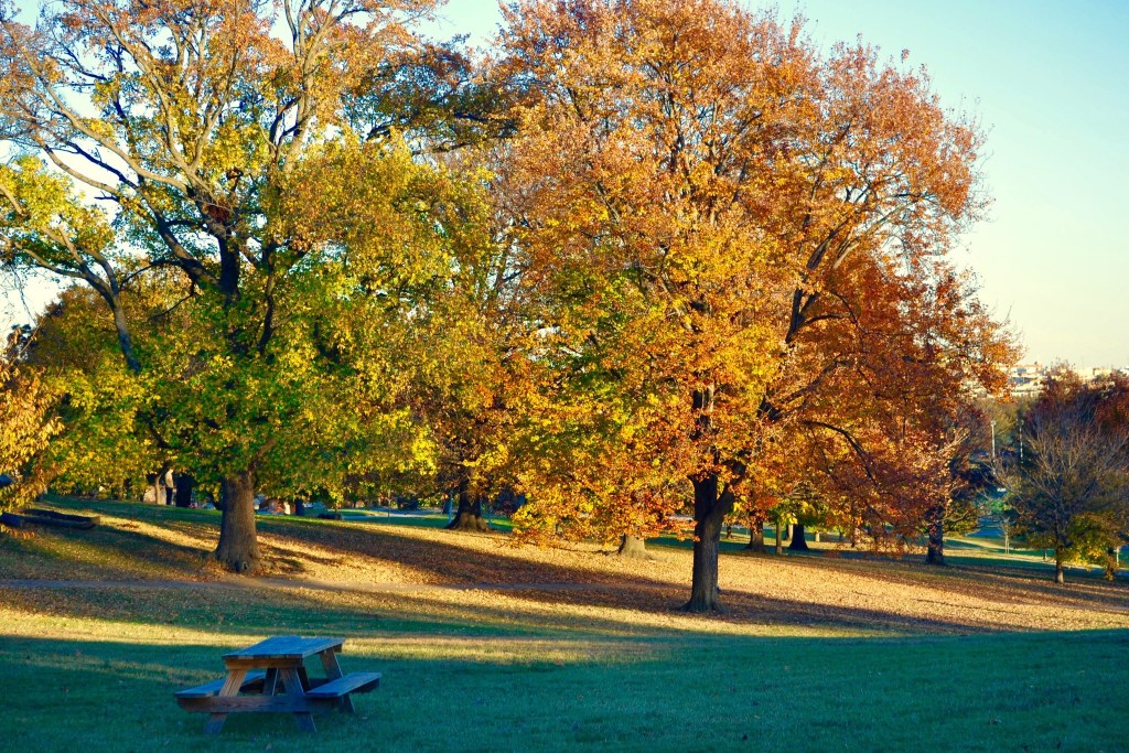 Strong winds, potential thunderstorms predicted for Wednesday night – Baltimore Sun