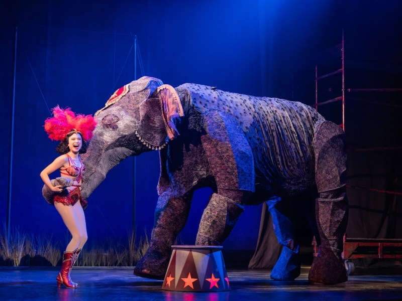 Broadway in Orlando review: Touring ‘Water for Elephants’ is almost as enchanting as it was in NYC