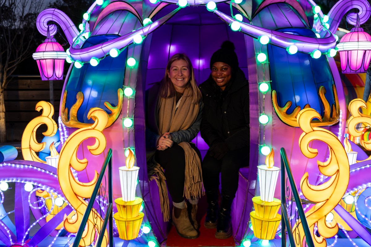 16 weekend events, including kick off to Glow Wild + Market Noel @ The Finley Center—Nov. 21-23 7 Glow Wild - Birmingham Zoo 2024