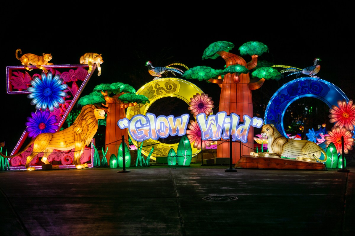 Watch the Birmingham Zoo come to life at night during Glow Wild (Bham Now)