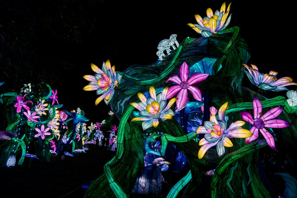 “If there’s a spare outlet in a closet, chances are my team will be running a power cord to it," festival operations manager Andrew Bowman jokes. Photo by Liz Condo.