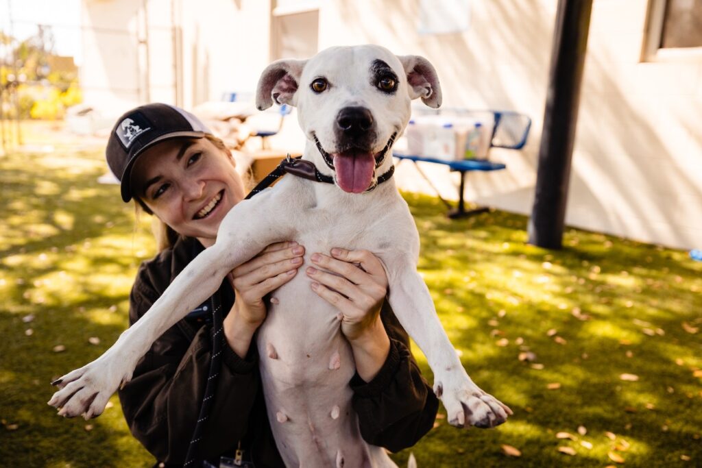 Orange County Animal Services pushes to revise 20-year-old pet policies