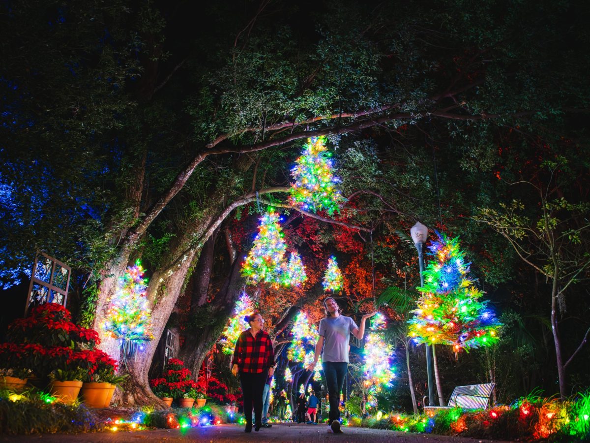 20 places to see Christmas lights in Orlando this holiday season