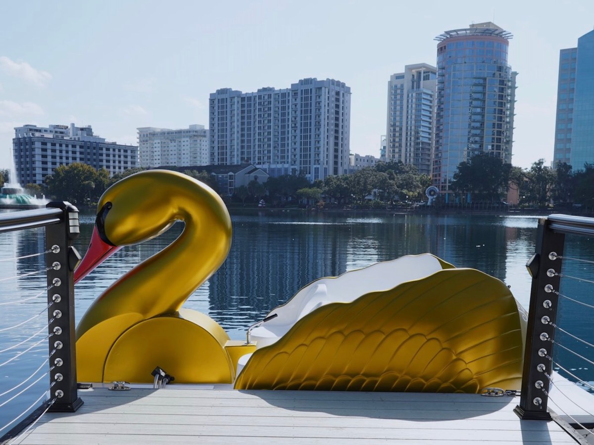 Orlando marks 100 years of Lake Eola swan boats, while real swans pass health check