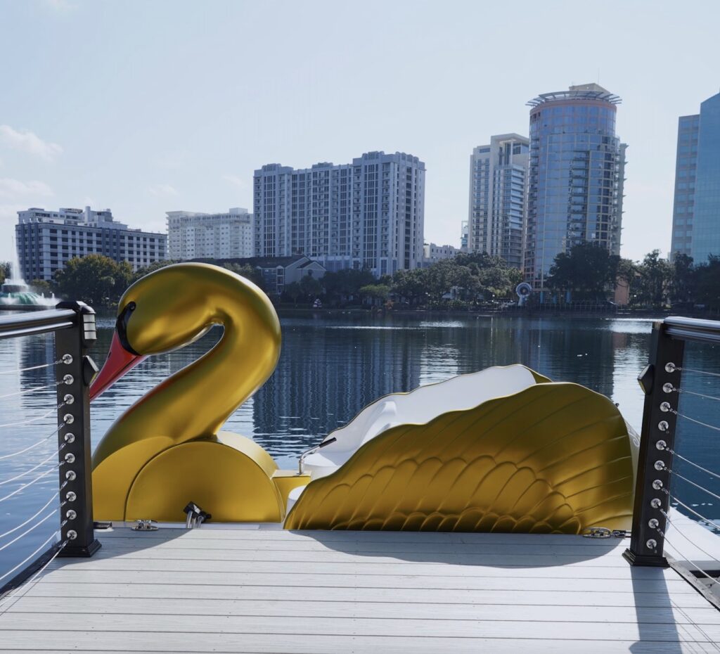 Orlando marks 100 years of Lake Eola swan boats, while real swans pass health check