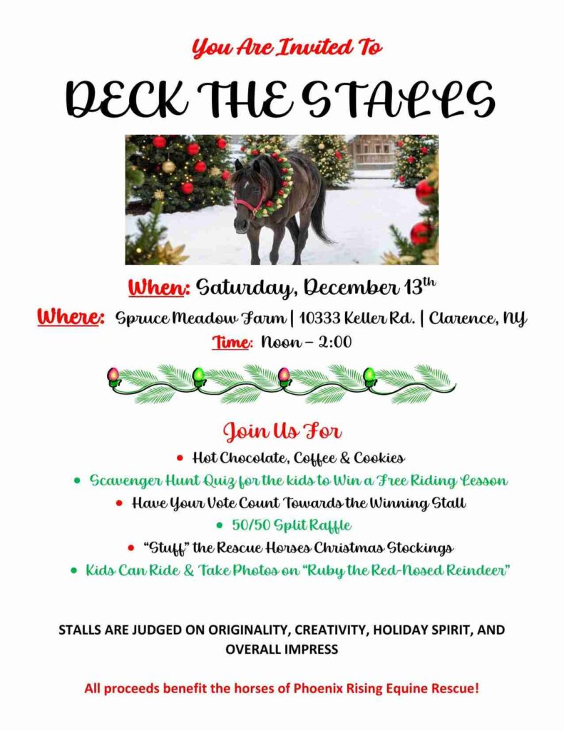 Deck The Stalls Helps Save Horses & It Is Great Holiday Fun!