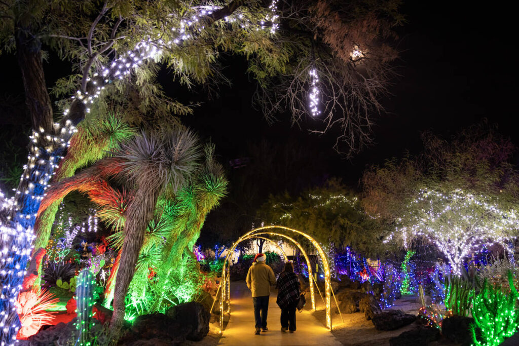 People walk around Ethel M Chocolates' Holiday Cactus Garden on Monday, Dec. 16, 2024, in Hende ...