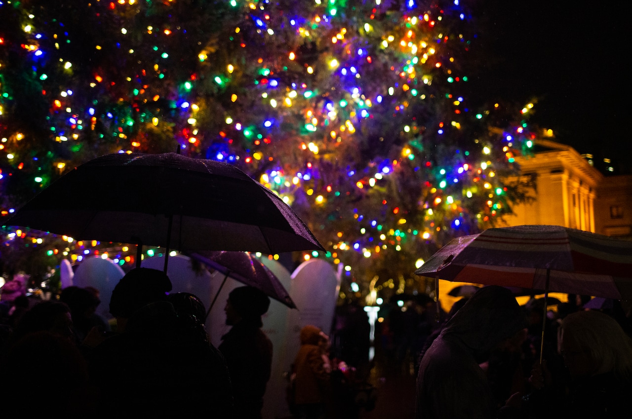 A large tree is covered with lights in a downtown square, surrounded by people, many with umbrellas