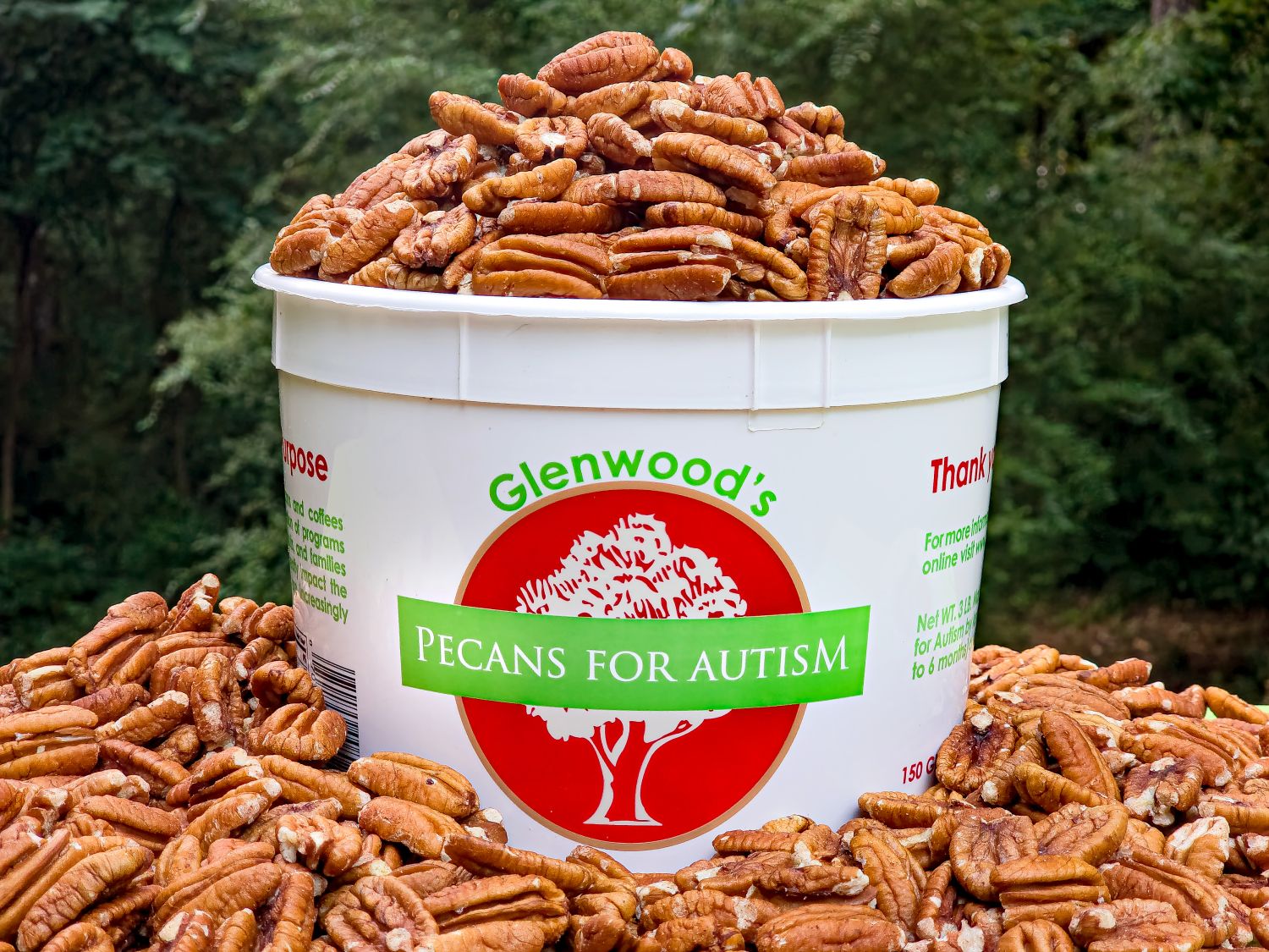 Glenwood's Pecans for Autism Sale